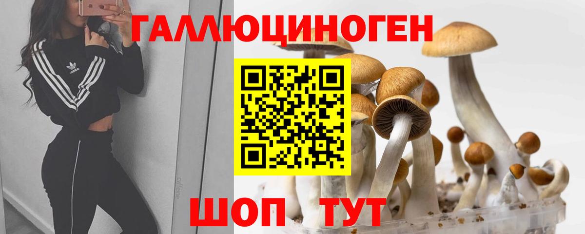 Донской  Галлюциногенные грибы MAGIC MUSHROOMS  Вход с VPN  Псилоцибиновые грибы GOLDEN TEACHER 